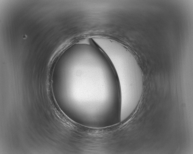 X0000062140293200512091024