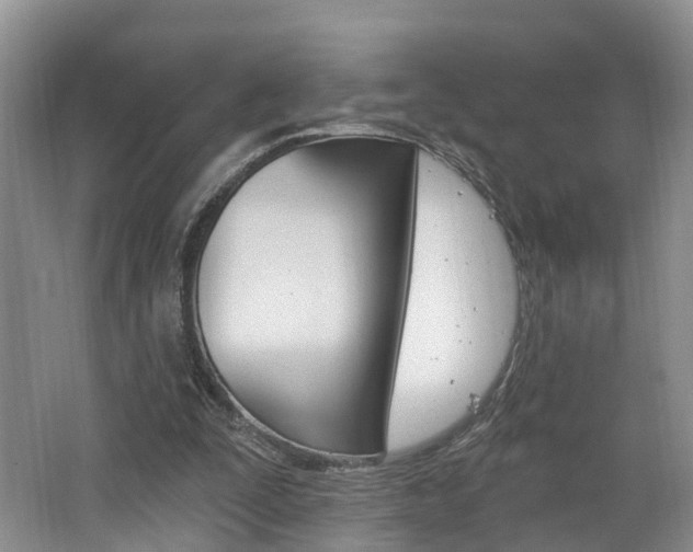 X0000062140295200512091024