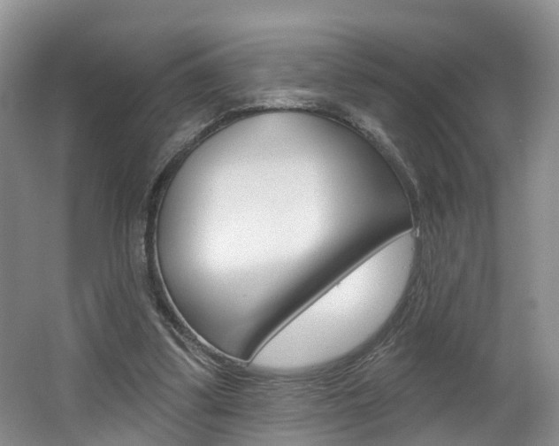 X0000062140299200512091024