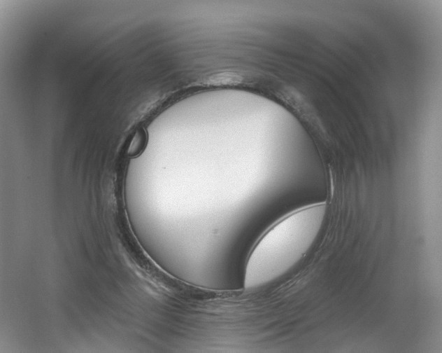 X0000062140300200512091024