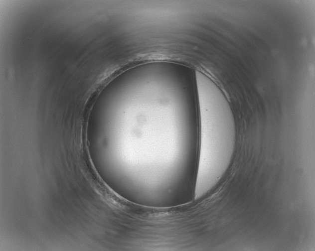 X0000062140301200512091024