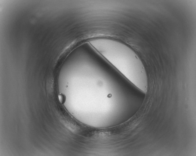 X0000062140304200512091024