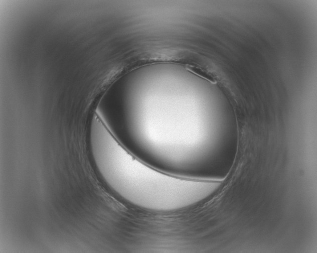 X0000062140305200512091024