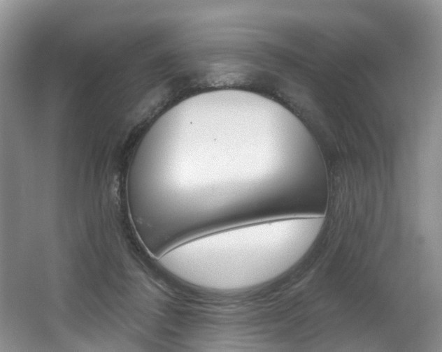 X0000062140308200512091024