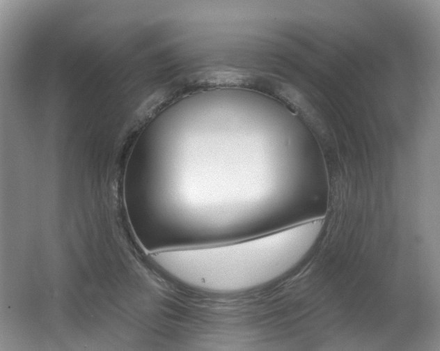 X0000062140309200512091024