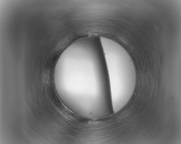 X0000062140311200512091024