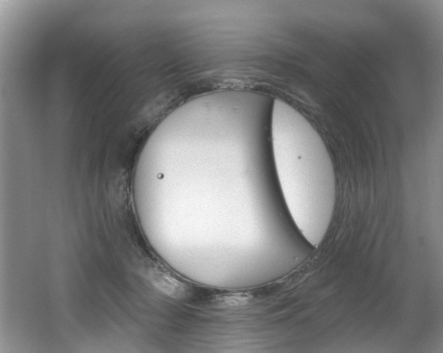 X0000062140318200512091024