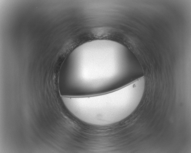 X0000062140319200512091024