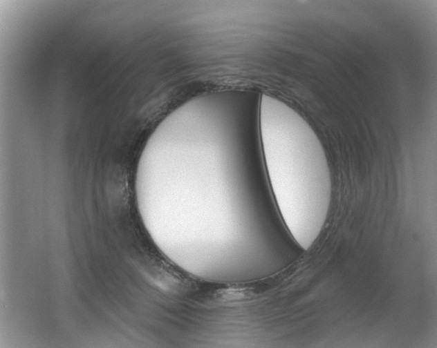 X0000062140320200512091024