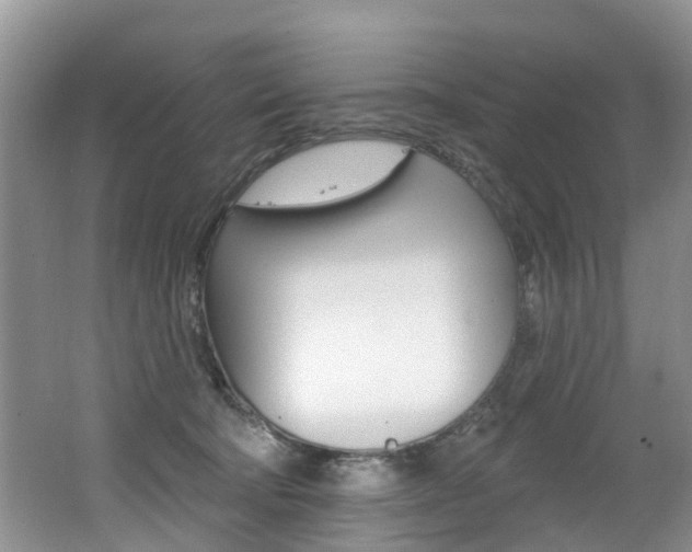 X0000062140322200512091023