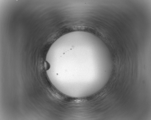 X0000062140323200512091023