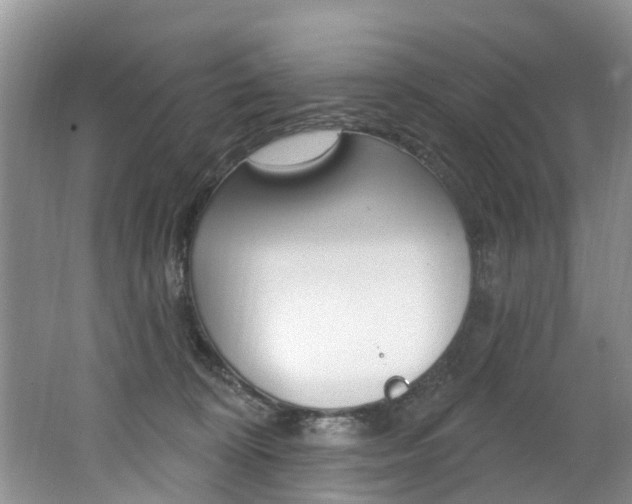 X0000062140324200512091023