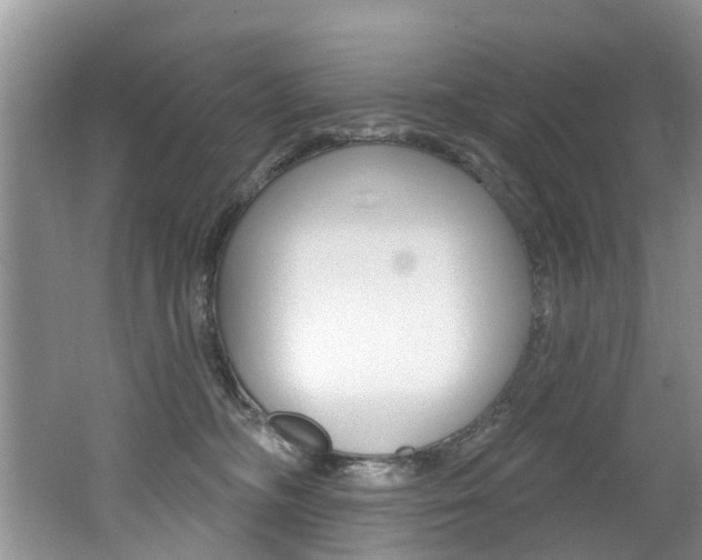 X0000062140326200512091023