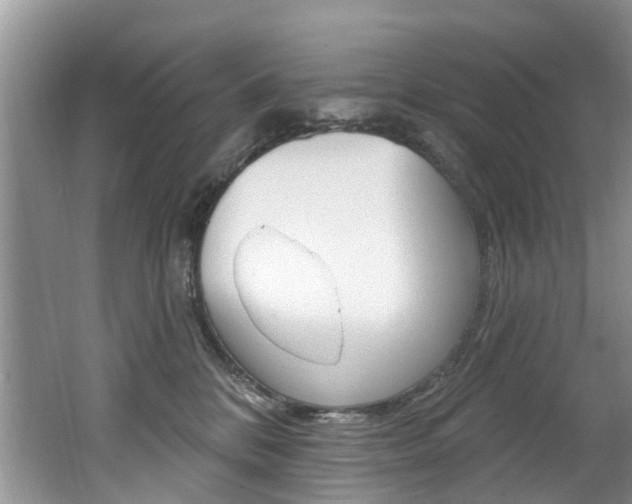 X0000062140328200512091023