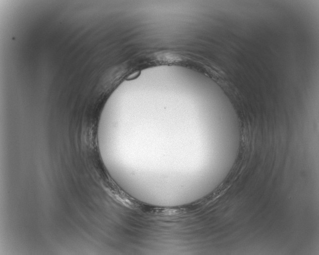 X0000062140330200512091023