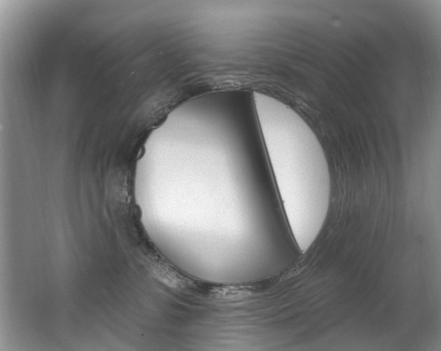 X0000062140331200512091023