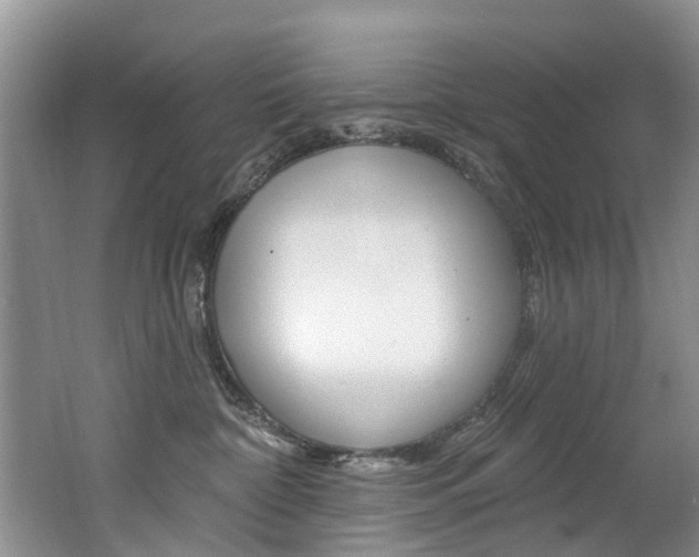 X0000062140332200512091023