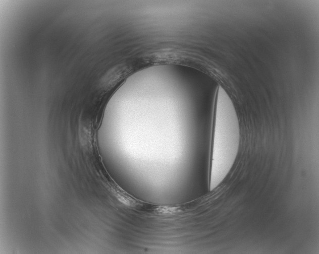 X0000062140333200512091023