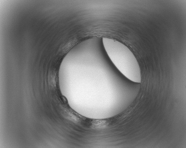 X0000062140334200512091023