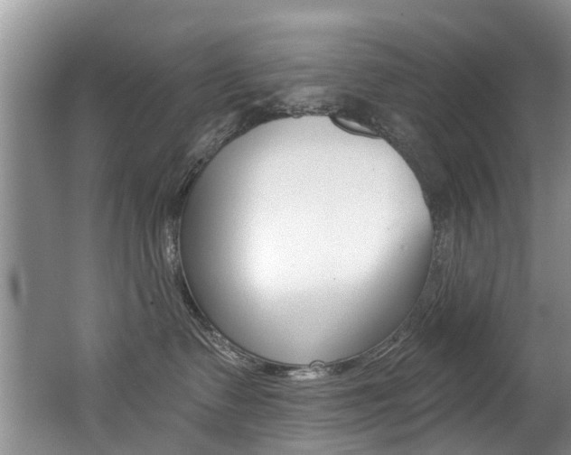 X0000062140335200512091023