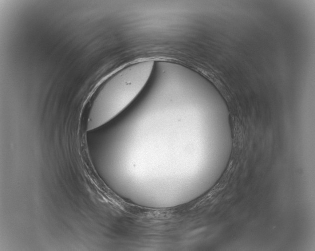 X0000062140338200512091022