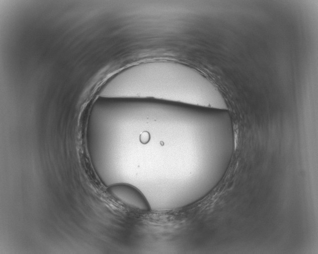 X0000062140339200512091022