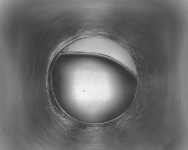 X0000062140340200512091023