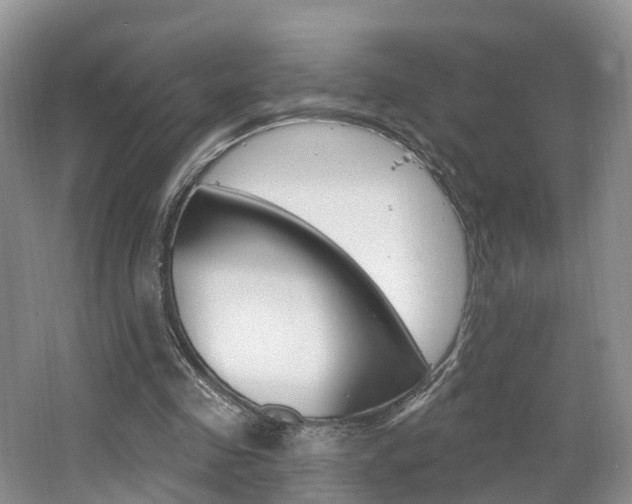 X0000062140341200512091023