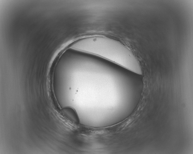 X0000062140342200512091023