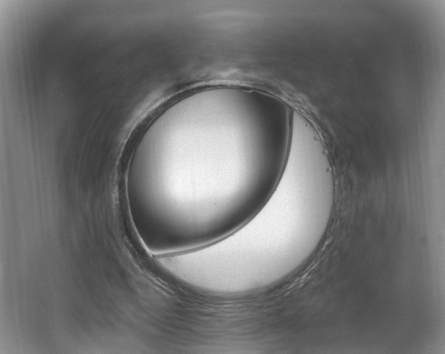 X0000062140344200512091023