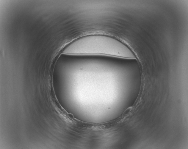 X0000062140345200512091023