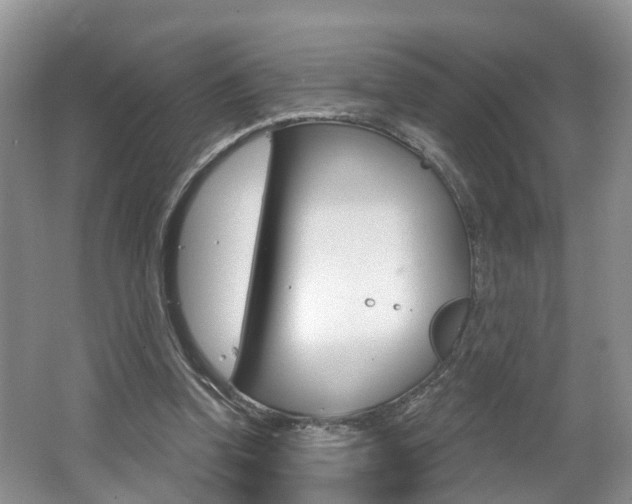 X0000062140346200512091023