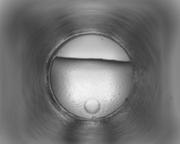 X0000062140347200512091023