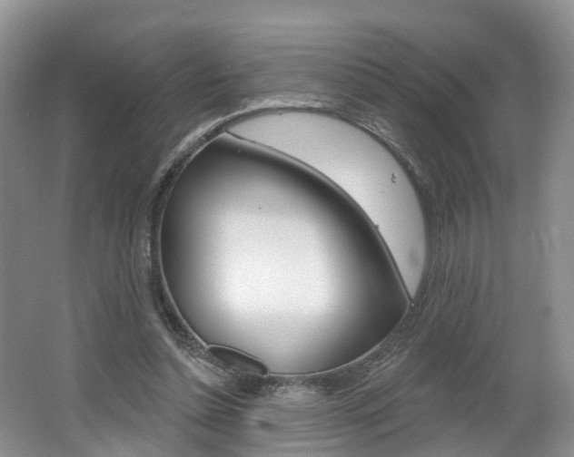 X0000062140348200512091023