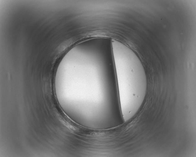 X0000062140349200512091023