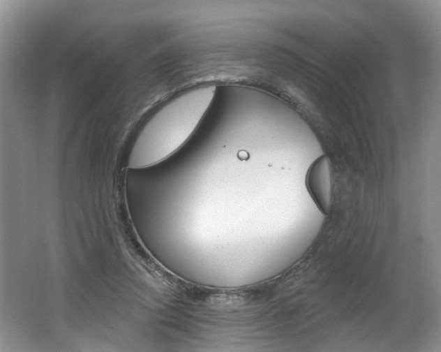 X0000062140354200512091023