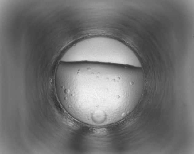 X0000062140355200512091023