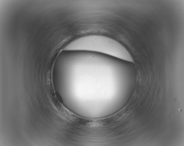 X0000062140356200512091023