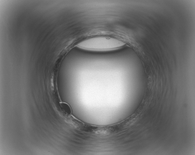 X0000062140358200512091023