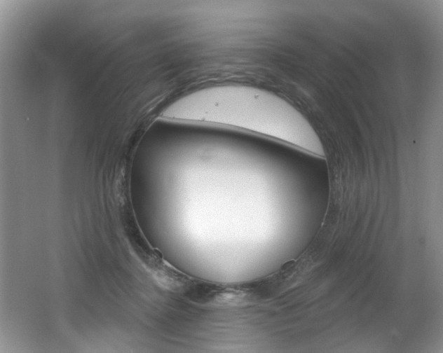 X0000062140364200512091023