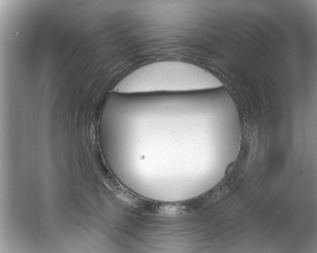 X0000062140375200512091023