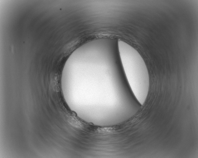 X0000062140378200512091023