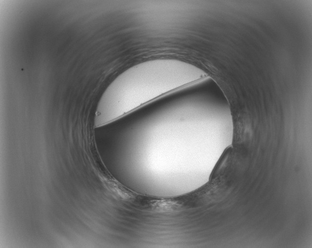 X0000062140379200512091023