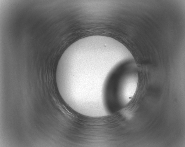 X0000062140380200512091023