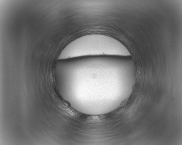 X0000062140381200512091023