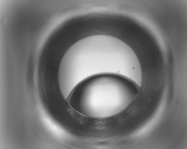 X0000062140382200512091023