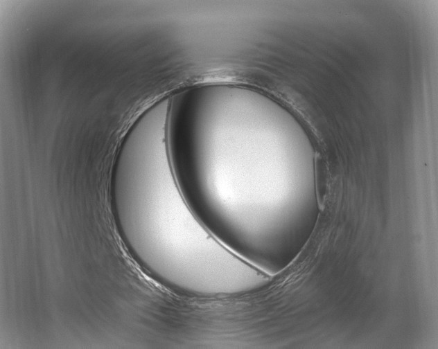 X0000062140385200512091022