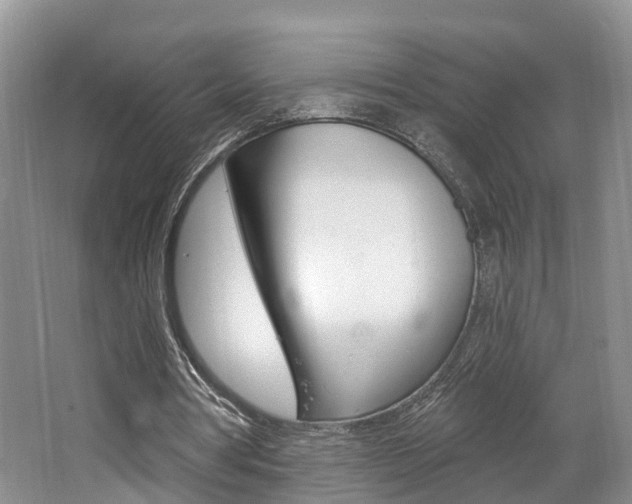 X0000062140386200512091022