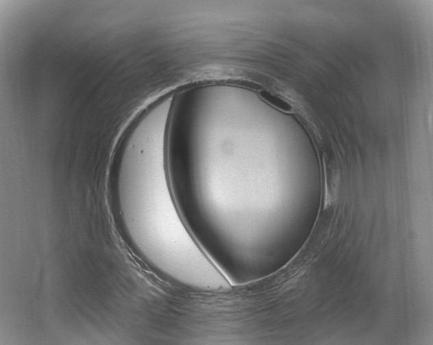 X0000062140387200512091022