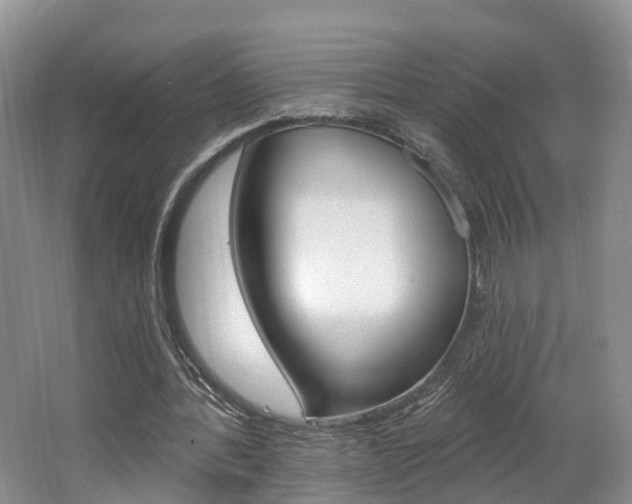 X0000062140388200512091022